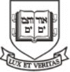 Yale Logo